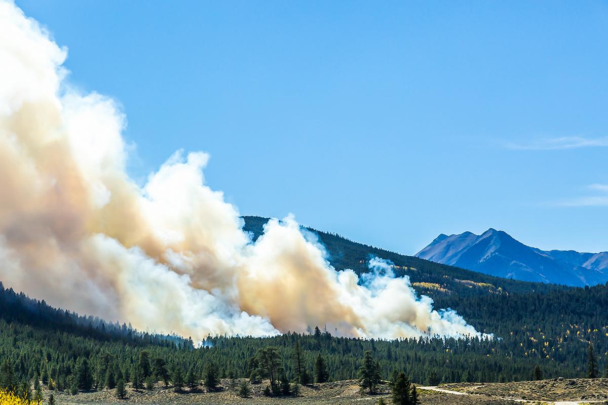 Imagen de un incendio forestal en las montañas