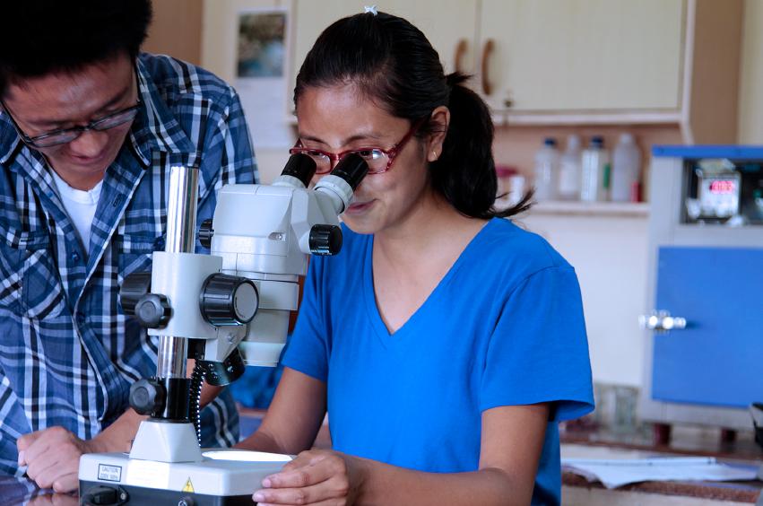 Investigadora trabajando con un microscopio