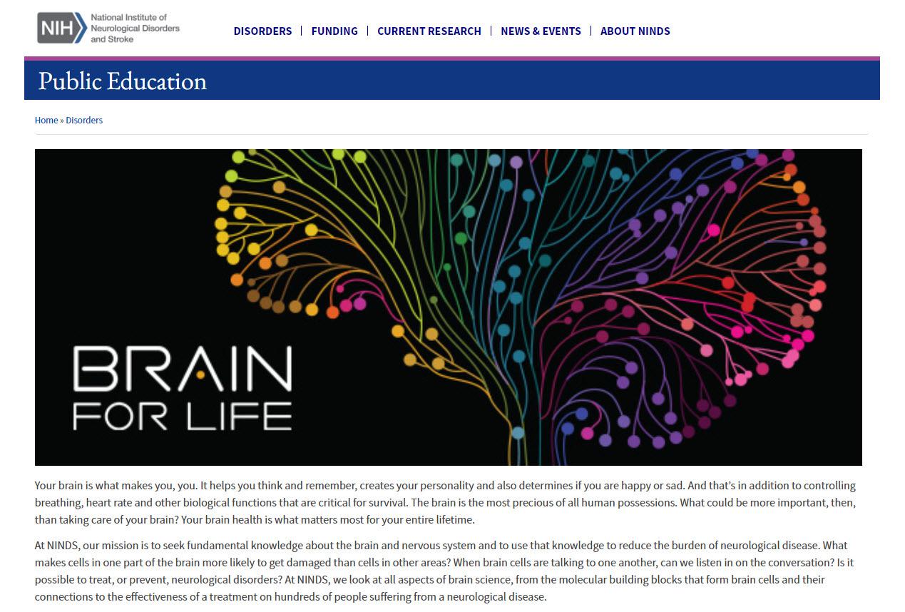 Captura de pantalla del sitio web Brain for Life