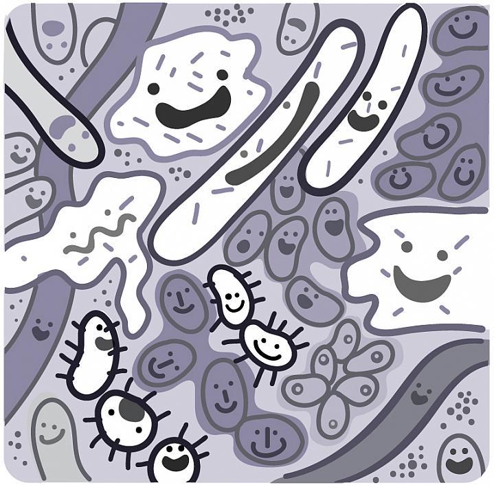 Ilustración de una comunidad de microbios