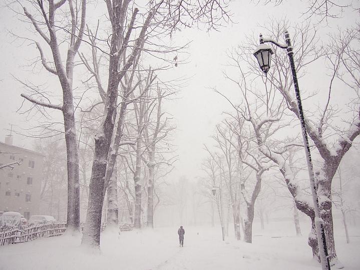 Foto de una persona caminando por una calle llena de nieve.