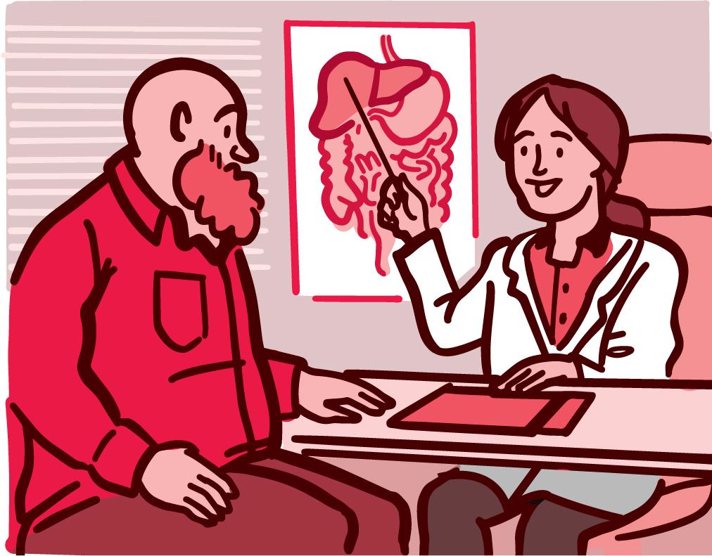 Ilustración de un médico que muestra a un paciente un diagrama del hígado