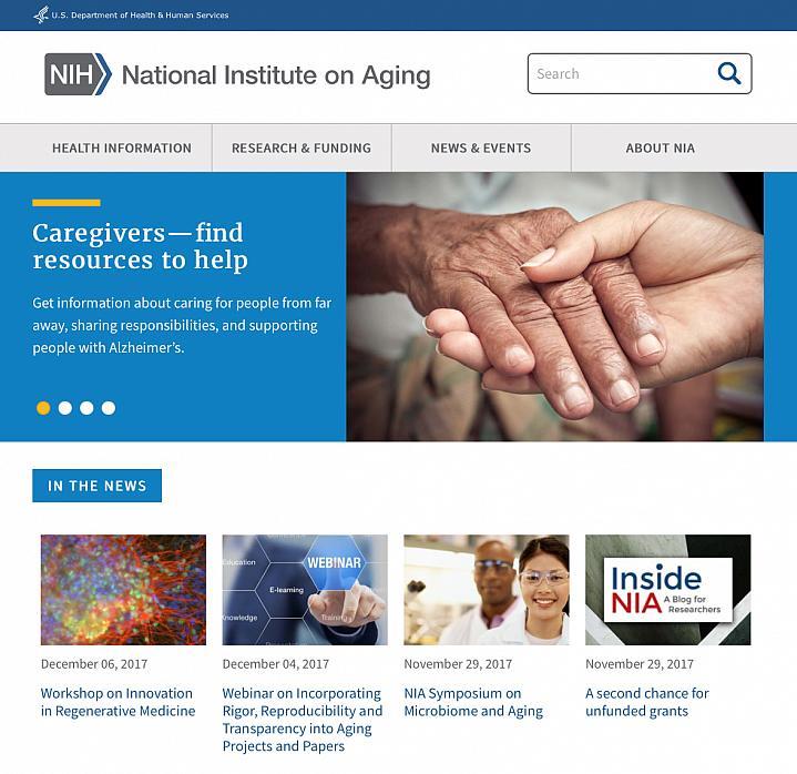 Captura de pantalla del sitio web de NIA