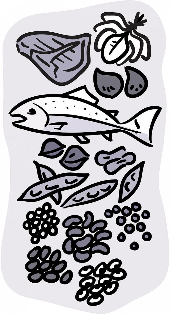 Ilustración de alimentos ricos en hierro, incluyendo pescado, carne roja, frijoles y vegetales de hoja verde oscura.