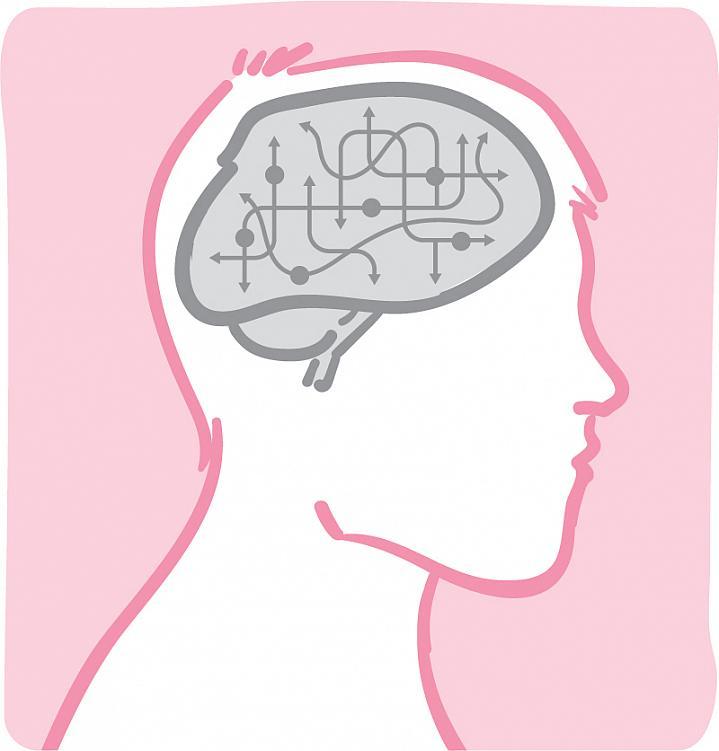 Ilustración de circuitos y flechas dentro del cerebro de un hombre.