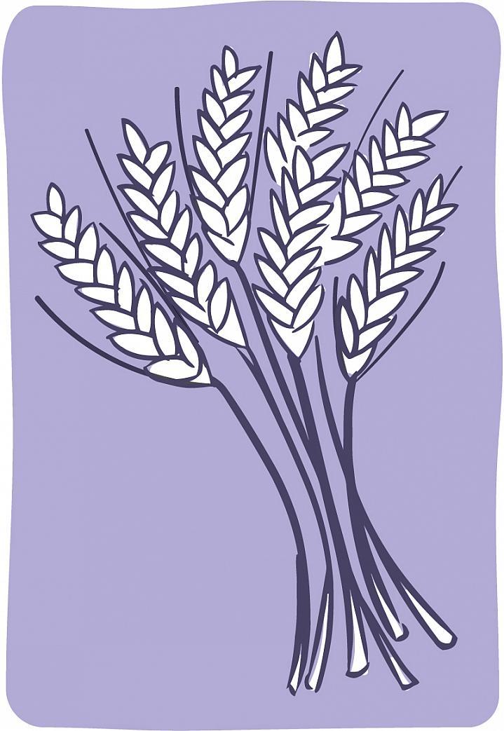 Ilustración de un manojo de trigo.