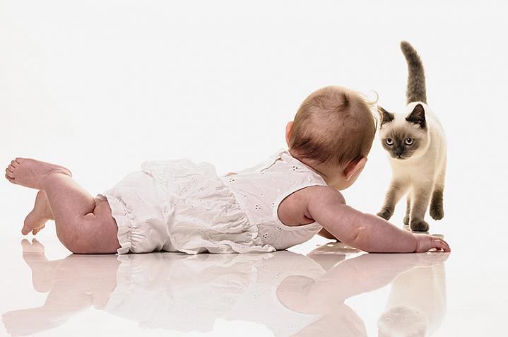 Bebé en el piso, jugando con un gatito