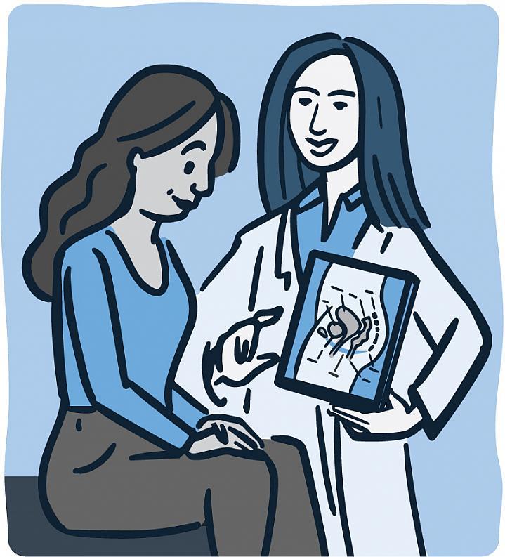Ilustración de un médico que muestra a una paciente un diagrama de la pelvis.