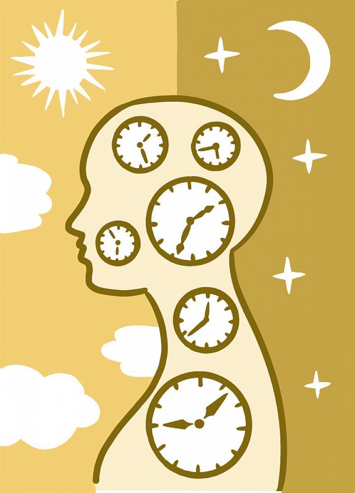 Ilustración de una silueta humana llena de relojes