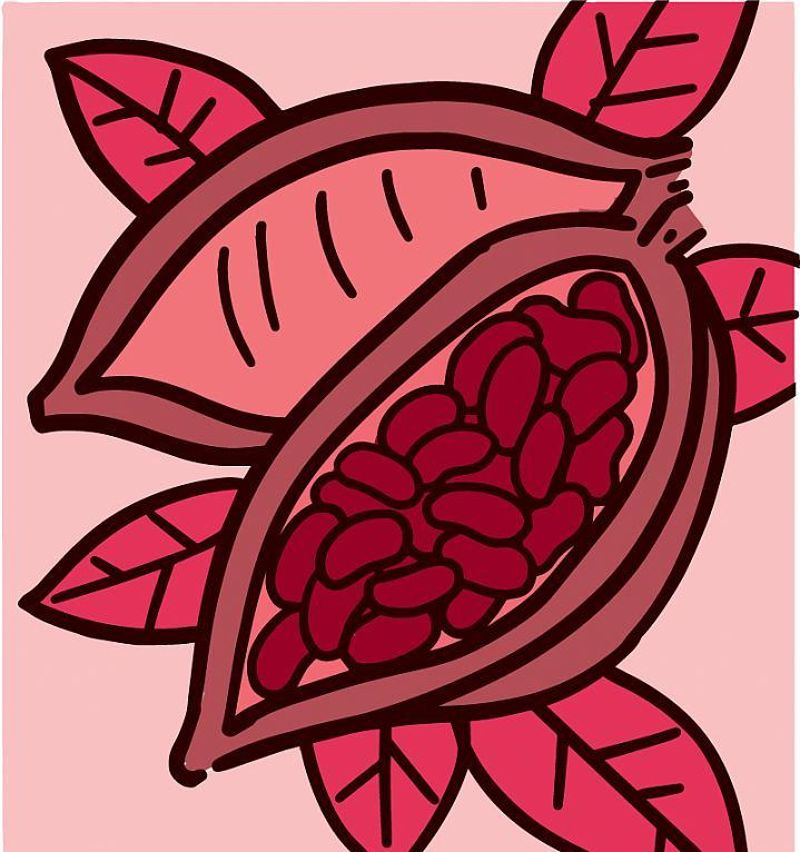 Ilustración de una planta de cacao