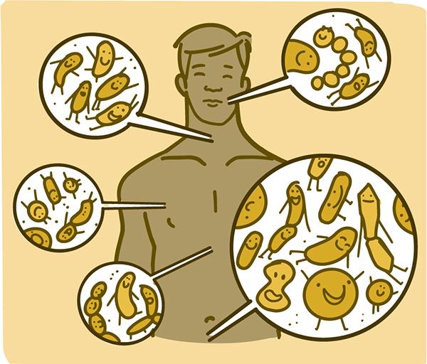 Ilustración que muestra dónde viven los microbios en el cuerpo de un hombre