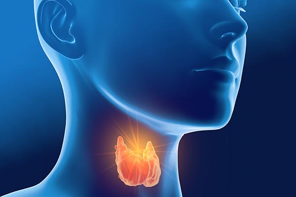 Información sobre la Tiroides