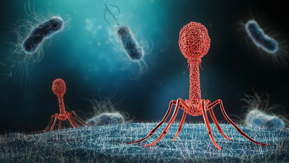 Ilustración de un fago que infecta una bacteria.