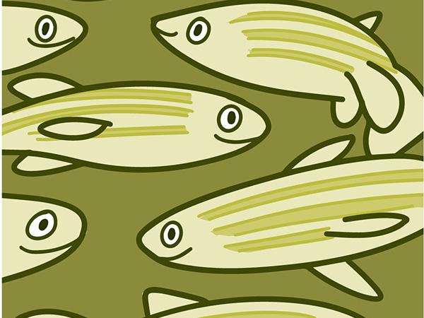 Ilustración de un grupo de peces cebra