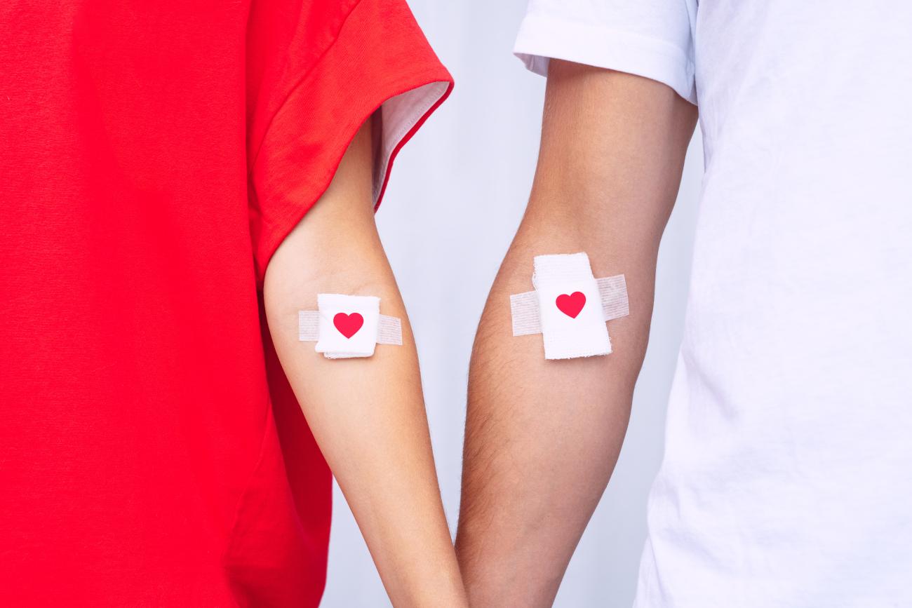 Imagen de donantes de sangre mostrando sus vendajes con corazones, después de la donación de sangre.