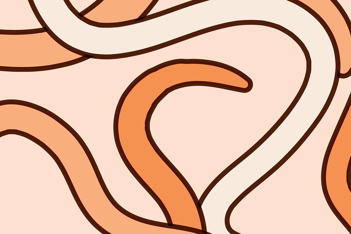 Una ilustración muestra a varios gusanos C. elegans.