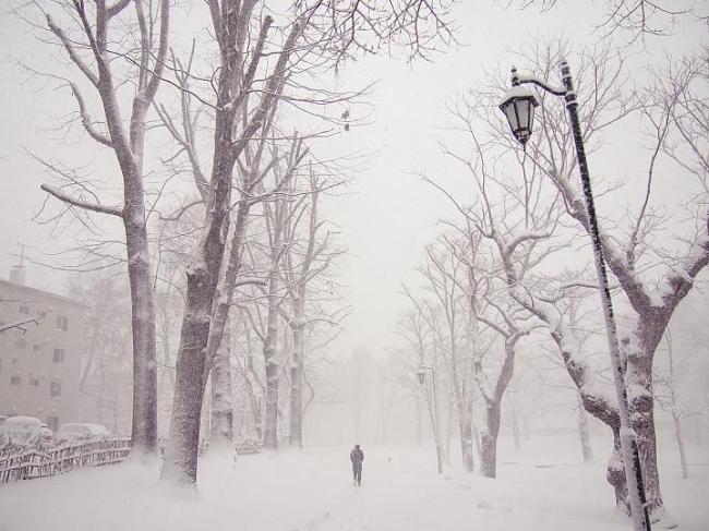 Foto de una persona caminando por una calle llena de nieve.