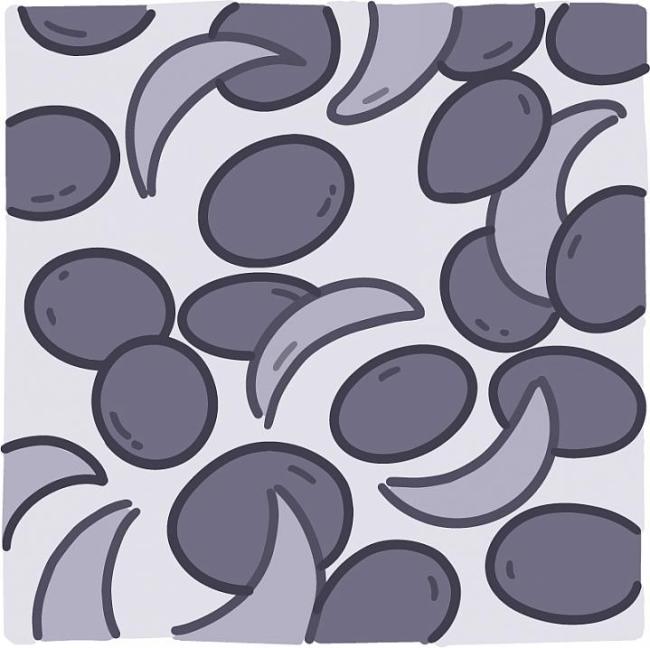 Ilustración de células falciformes y de células sanas