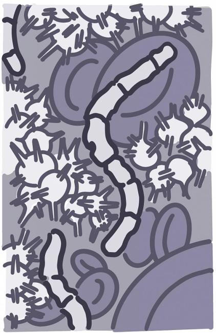 Ilustración de células sanguíneas y bacterias.