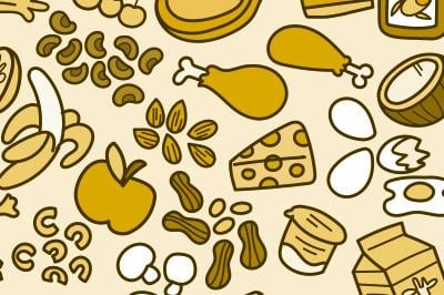 Ilustración de diferentes tipos de alimentos en los cinco grupos de alimentos: verduras, frutas, productos lácteos, aceites y proteínas.
