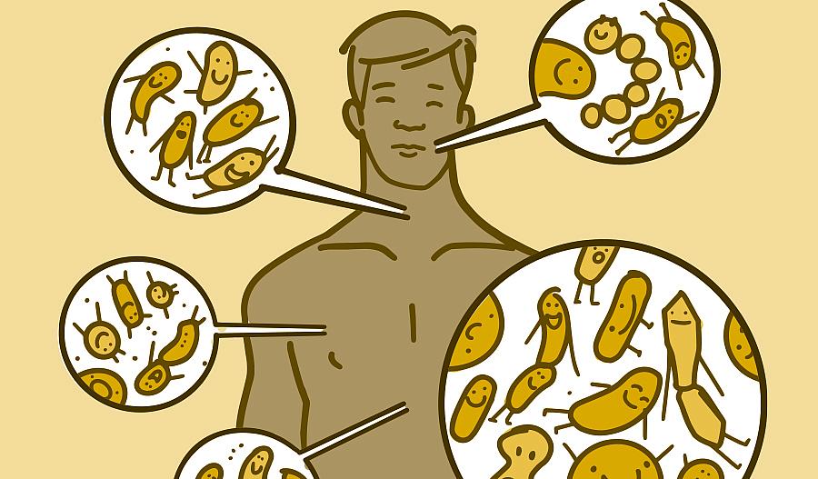 Ilustración que muestra dónde viven los microbios en el cuerpo de un hombre.