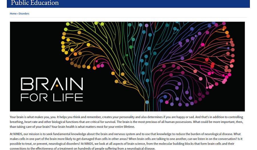 Captura de pantalla del sitio web Brain for Life