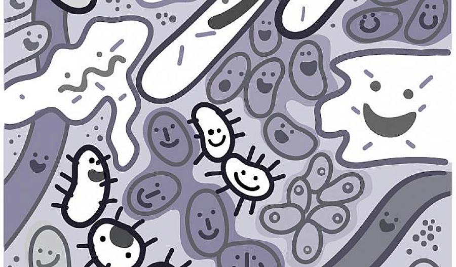 Ilustración de una comunidad de microbios