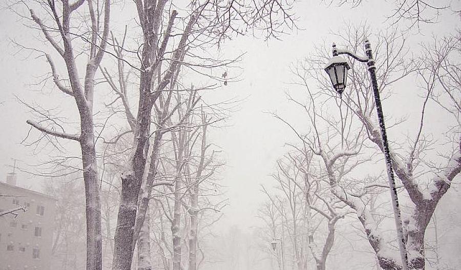Foto de una persona caminando por una calle llena de nieve.