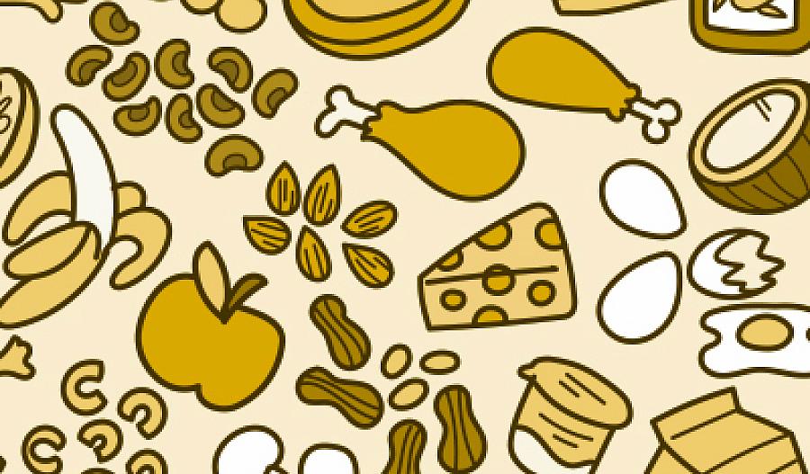 Ilustración de diferentes tipos de alimentos en los cinco grupos de alimentos: verduras, frutas, productos lácteos, aceites y proteínas.