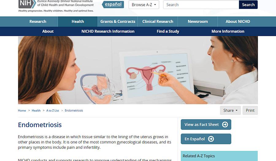 Captura de pantalla del sitio web sobre la endometriosis.